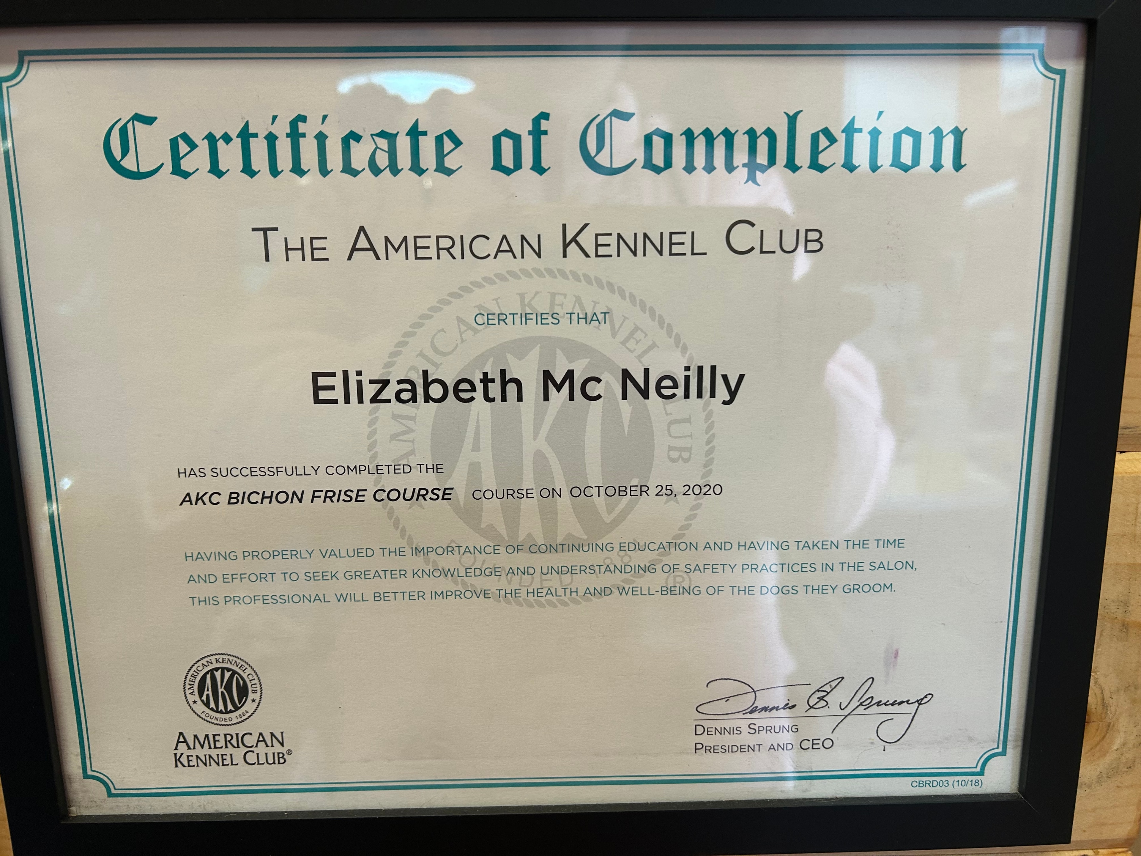 American Kennel Club Certificate of Completion — AKC Bichon Frise Course, Elizabeth Mc Neilly