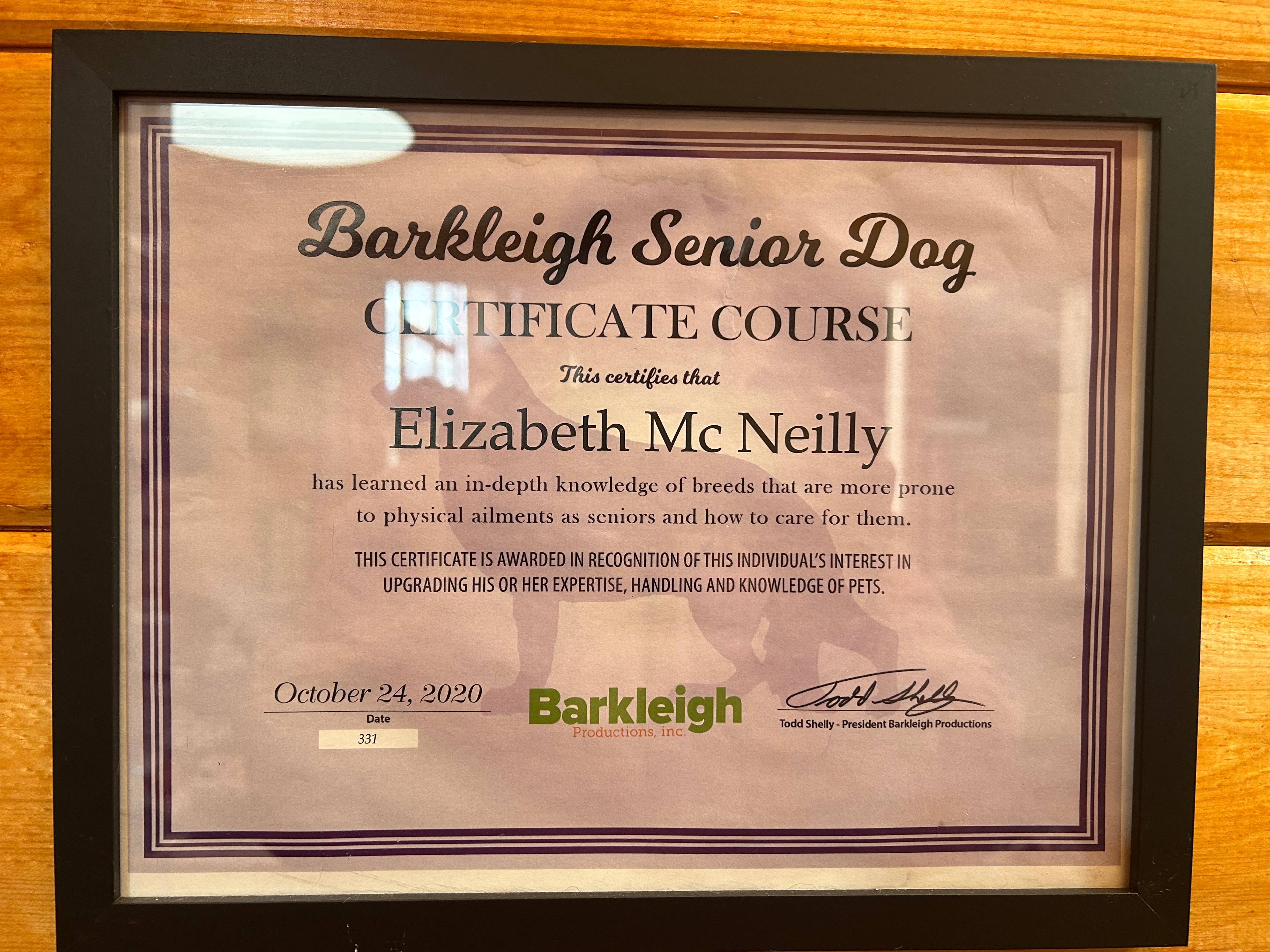 Barkleigh Senior Dog Certificate Course — Elizabeth Mc Neilly