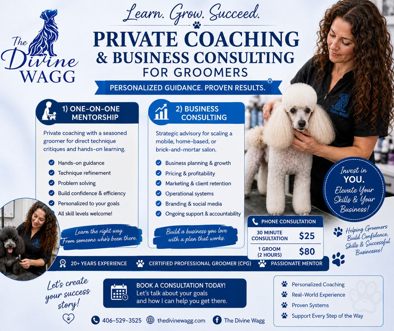 Consulting & Mentoring