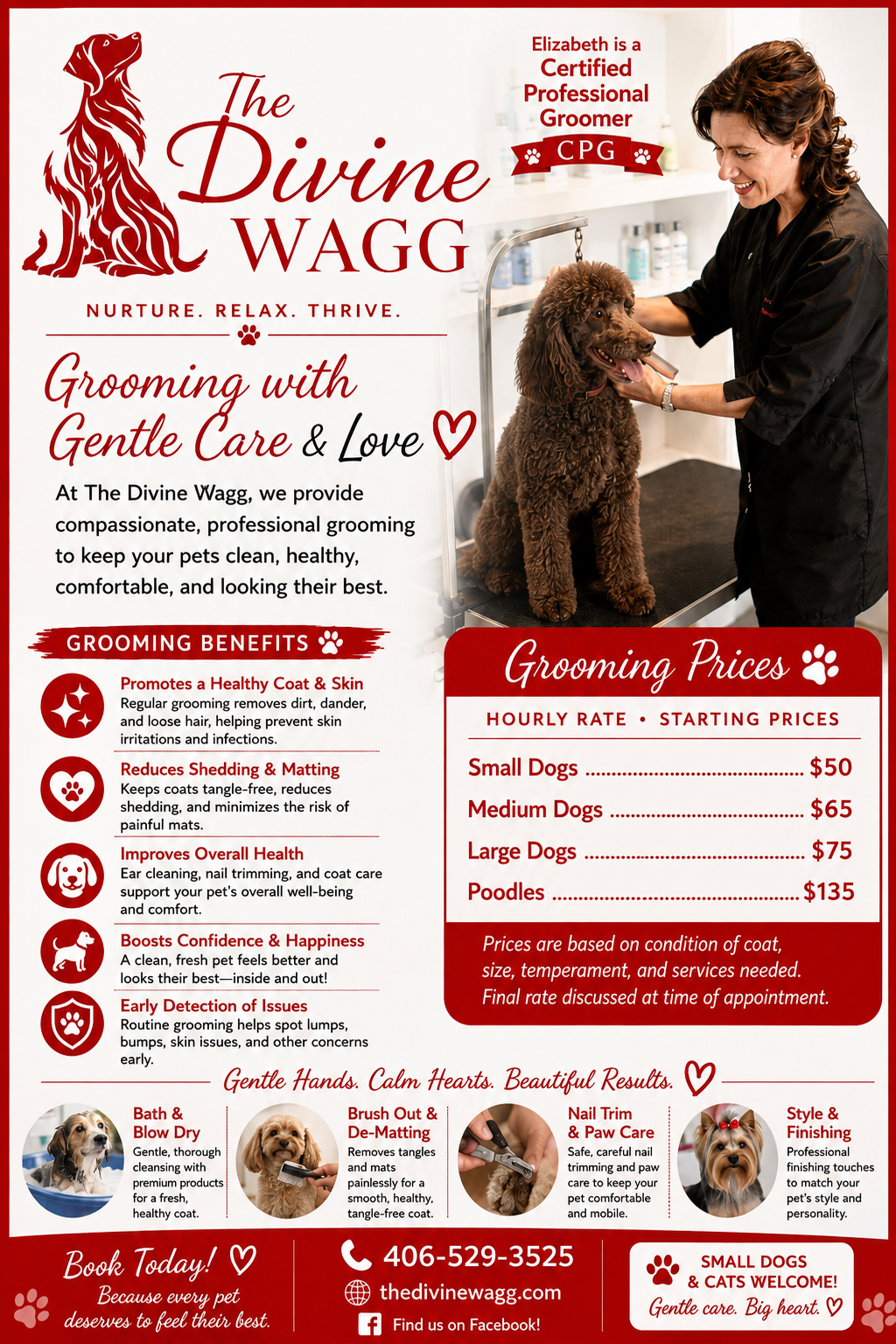 The Divine Wagg — Private Cage-Free Grooming