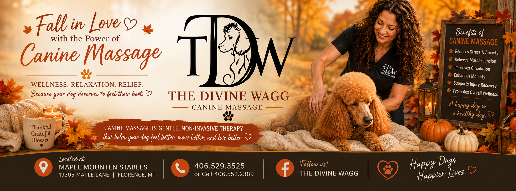 The Divine Wagg — Canine Sports Massage